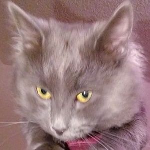 Meet your Posher, Jacob